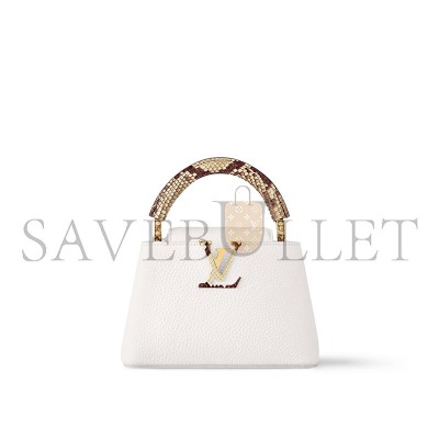 LOUIS VUITTON CAPUCINES MINI N85515 (21*13.6*8cm) 